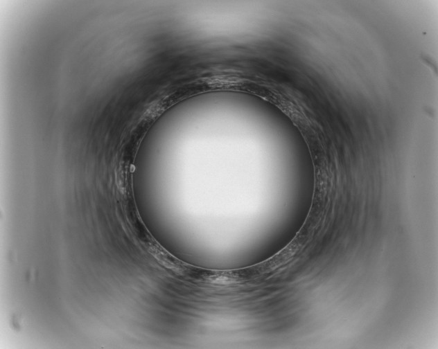 X0000094440755200711081025