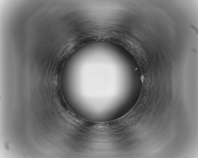 X0000094440756200711081025