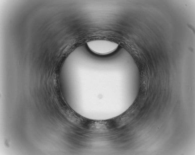 X0000094440758200711081025