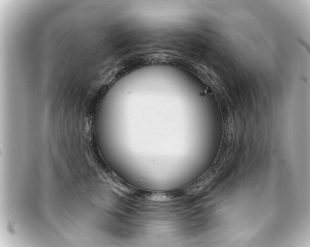 X0000094440759200711081025