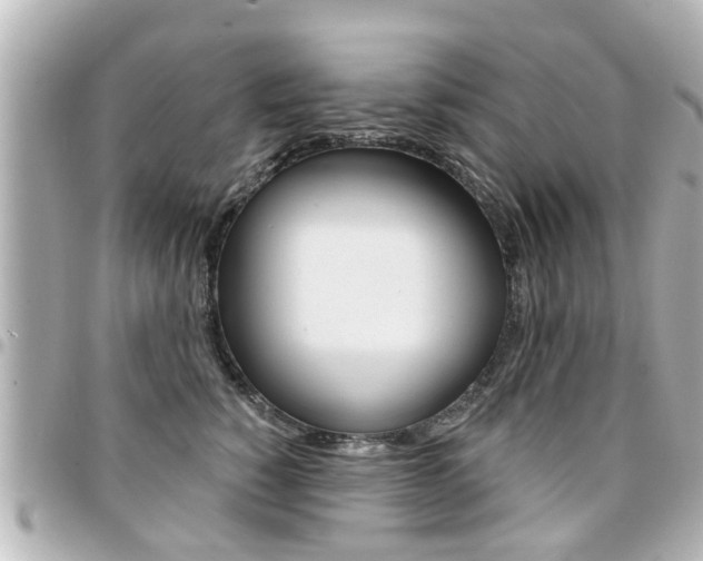 X0000094440760200711081025