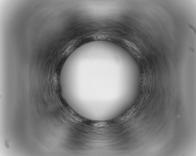X0000094440761200711081025