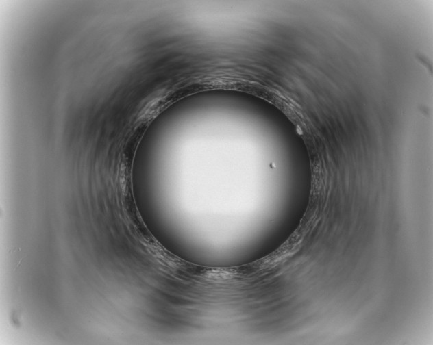 X0000094440762200711081025