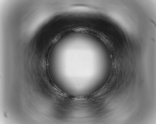 X0000094440763200711081025