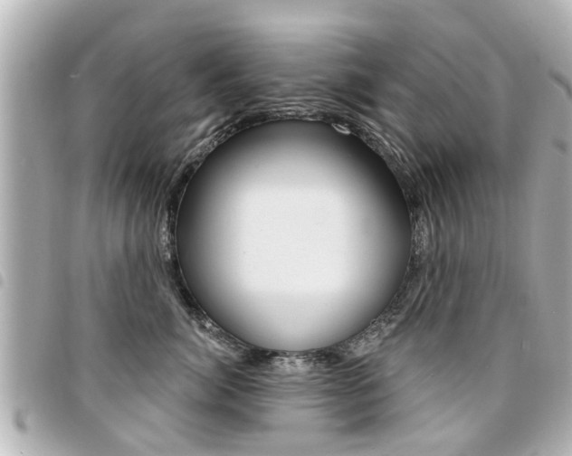 X0000094440764200711081025
