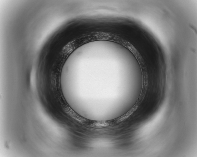 X0000094440765200711081025