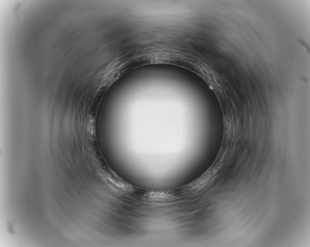 X0000094440766200711081025