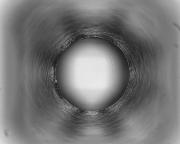 X0000094440767200711081025
