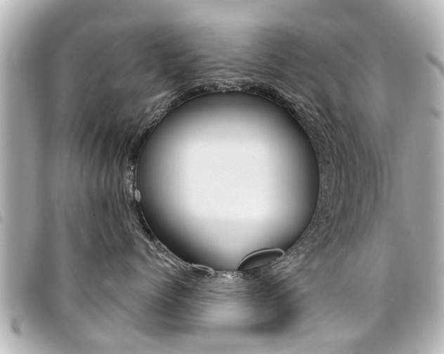 X0000094440768200711081025