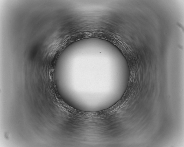 X0000094440770200711081024