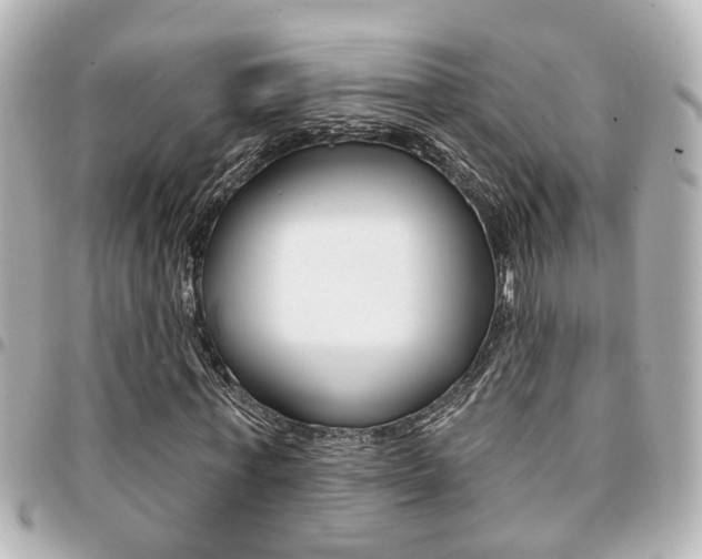 X0000094440771200711081024