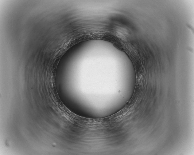 X0000094440772200711081024