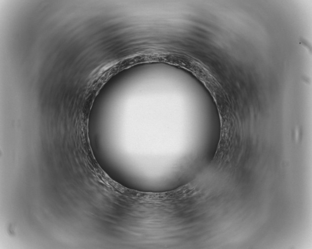X0000094440773200711081024