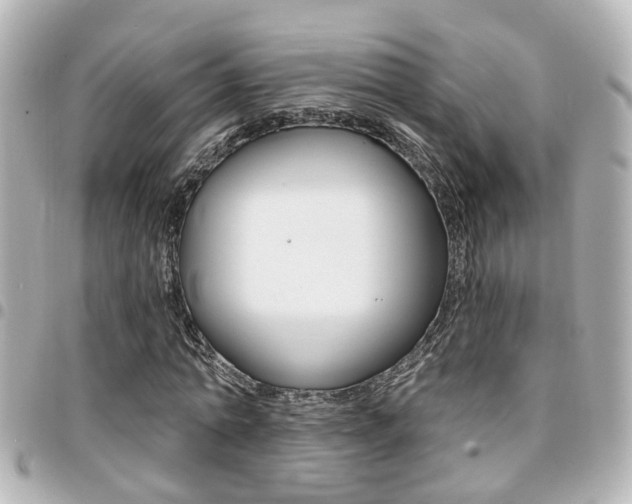 X0000094440774200711081024