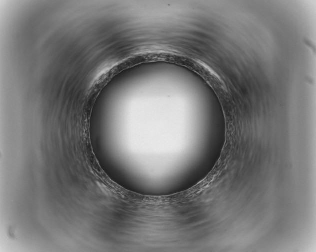 X0000094440775200711081024