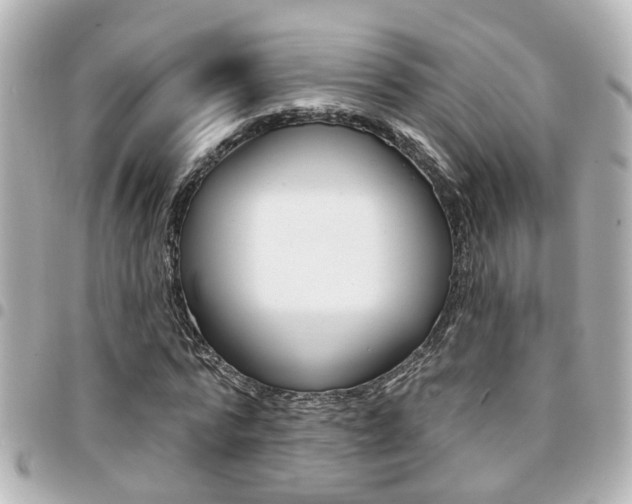 X0000094440776200711081024