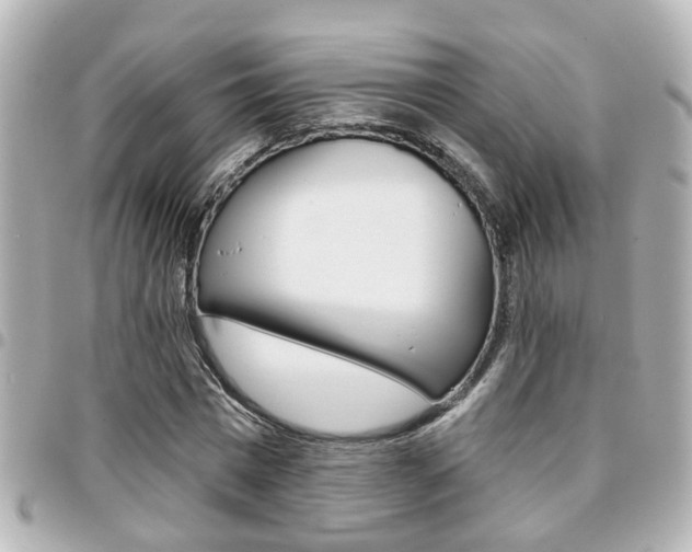 X0000094440777200711081024