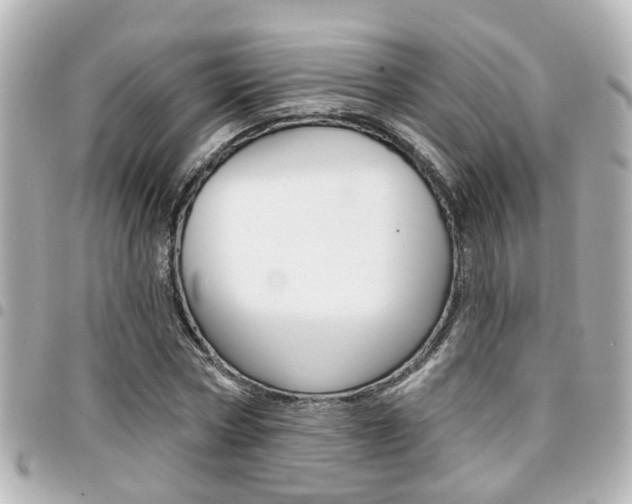 X0000094440778200711081024