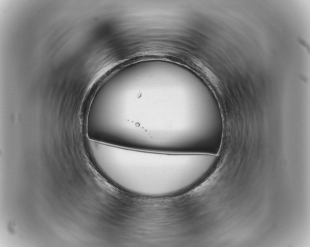 X0000094440779200711081024