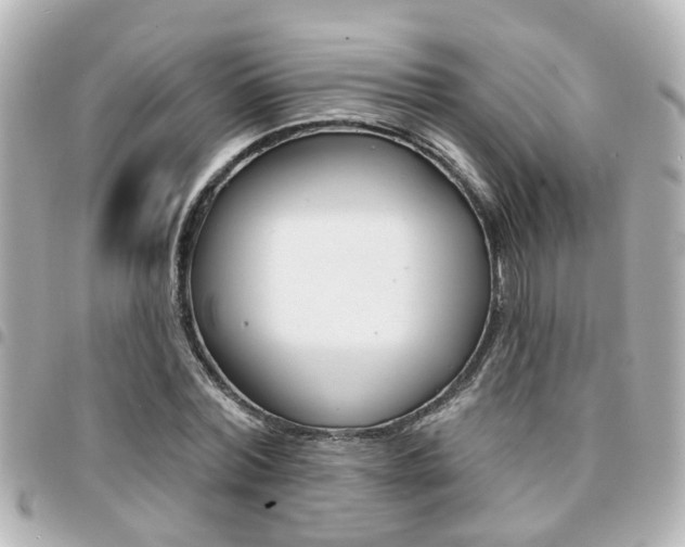 X0000094440780200711081024