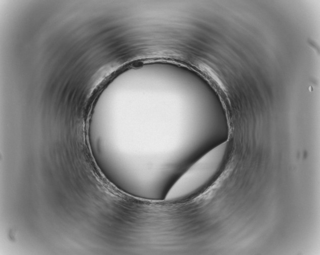 X0000094440781200711081024