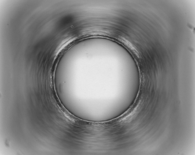 X0000094440782200711081024
