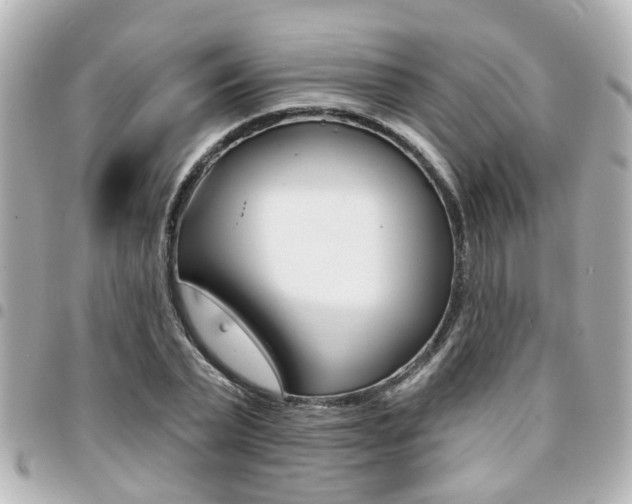 X0000094440783200711081024
