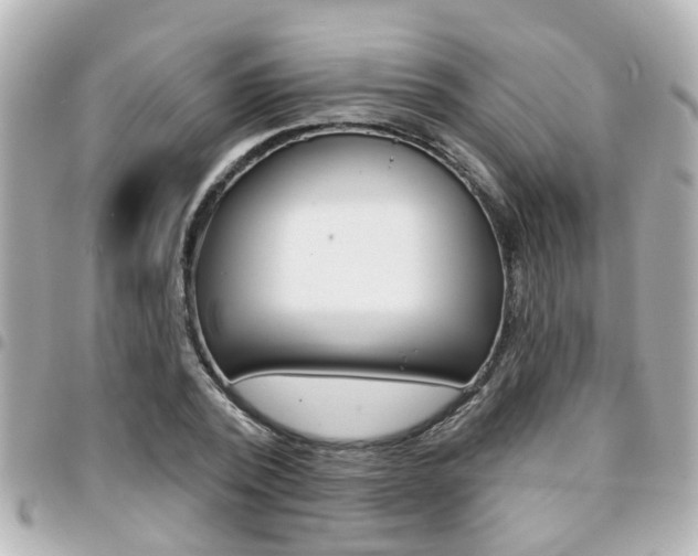 X0000094440784200711081024
