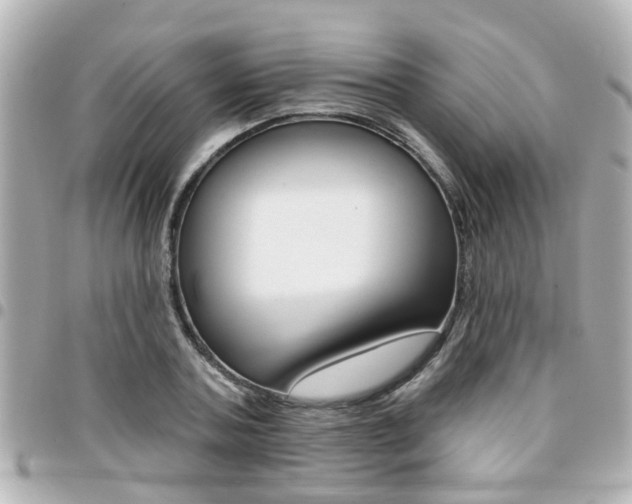 X0000094440787200711081024