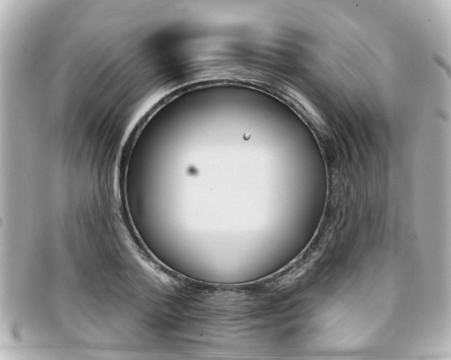 X0000094440788200711081024
