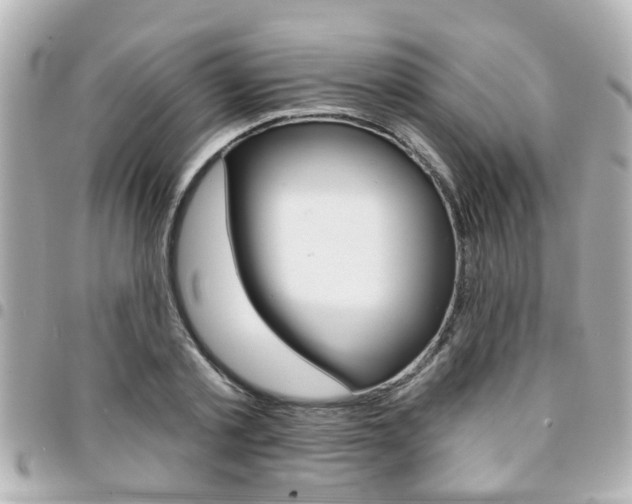 X0000094440789200711081024