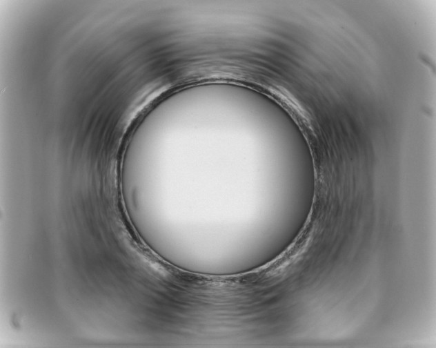 X0000094440790200711081024