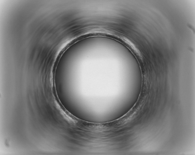 X0000094440791200711081024