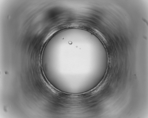 X0000094440794200711081024