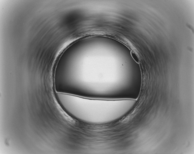 X0000094440795200711081024