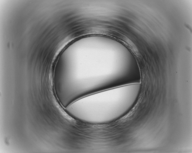 X0000094440796200711081024