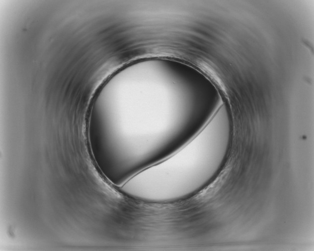 X0000094440797200711081024