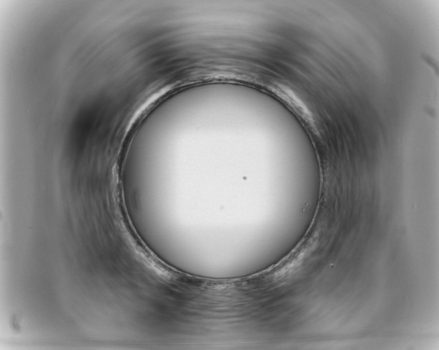 X0000094440798200711081024