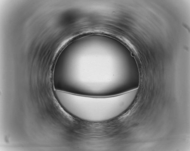 X0000094440799200711081024