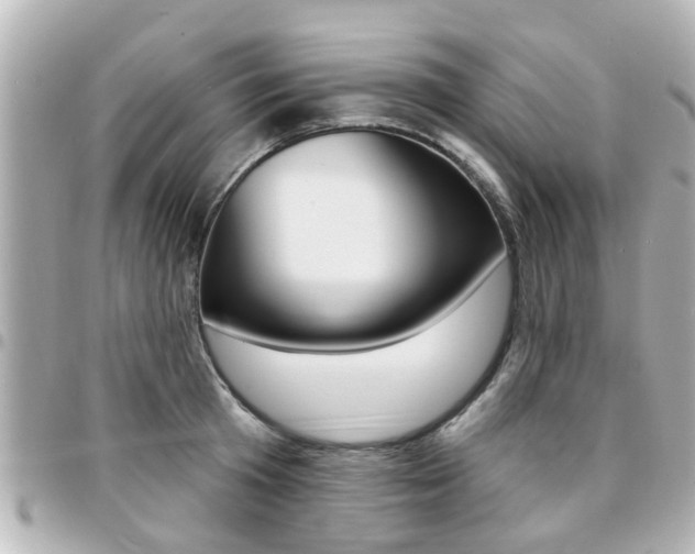 X0000094440801200711081024