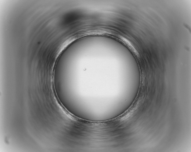 X0000094440802200711081024