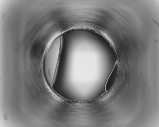X0000094440803200711081024