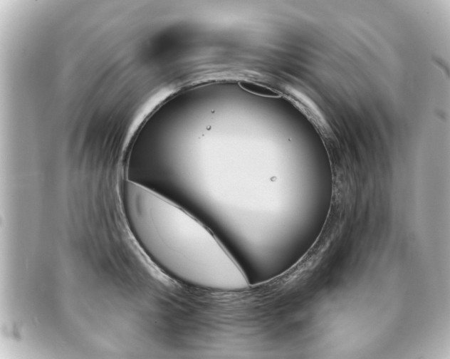 X0000094440804200711081024