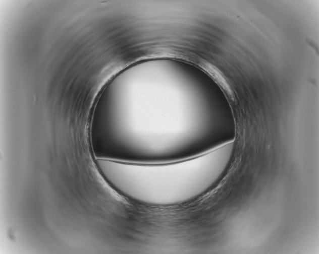 X0000094440805200711081024