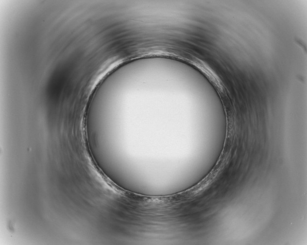 X0000094440806200711081024