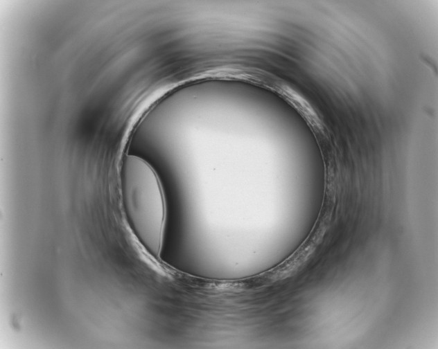 X0000094440808200711081024