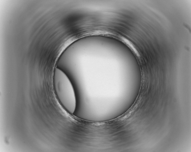 X0000094440810200711081024