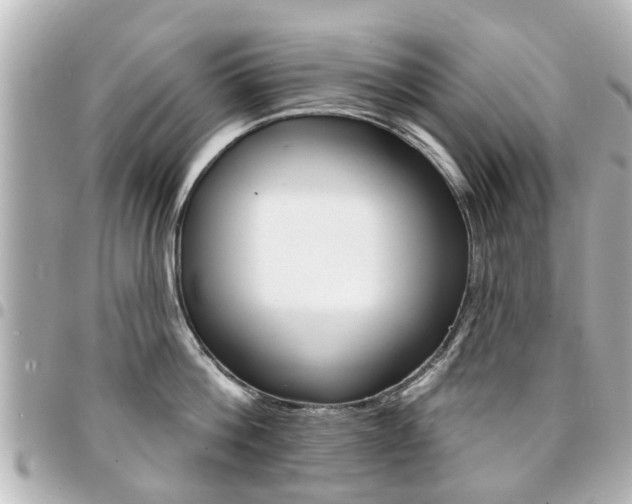 X0000094440812200711081024