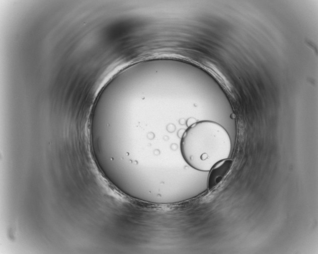 X0000094440814200711081024