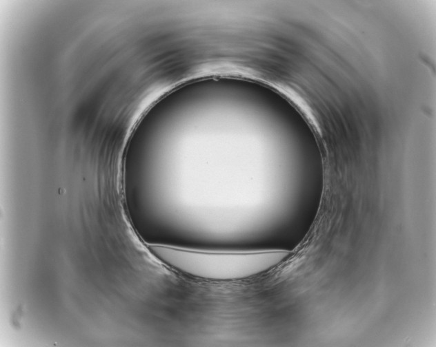 X0000094440815200711081024